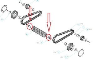 Ingranaggio Spazzola Attiva Anteriore Robot Piscina Maytronics Dolphin Poolstyle AG - Plus - Advance / SX 10 - 20 / Mr 10 - 20 / SM 10 - 20 / Mini Kart / E 10 – E 20 - E 25 / S 50 - S 100 / Run 10 - 20 / ZFun / Liberty 200 – 300 – 400 / 9983018-assy